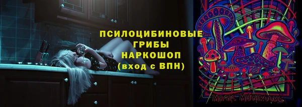 a pvp Инта