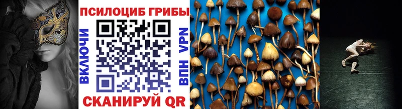 Галлюциногенные грибы Magic Shrooms  Купить где  Буйнакск 
